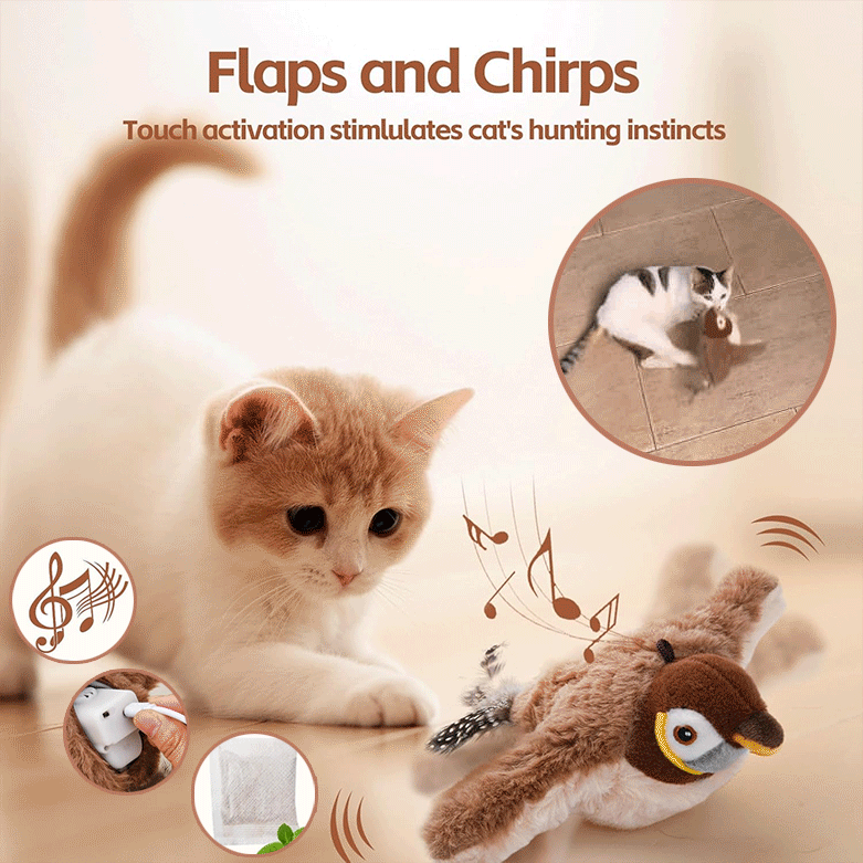 🔥 Dernier jour - 49 % de rabais - 🐾Jouet interactif pour chat avec oiseau gazouillant