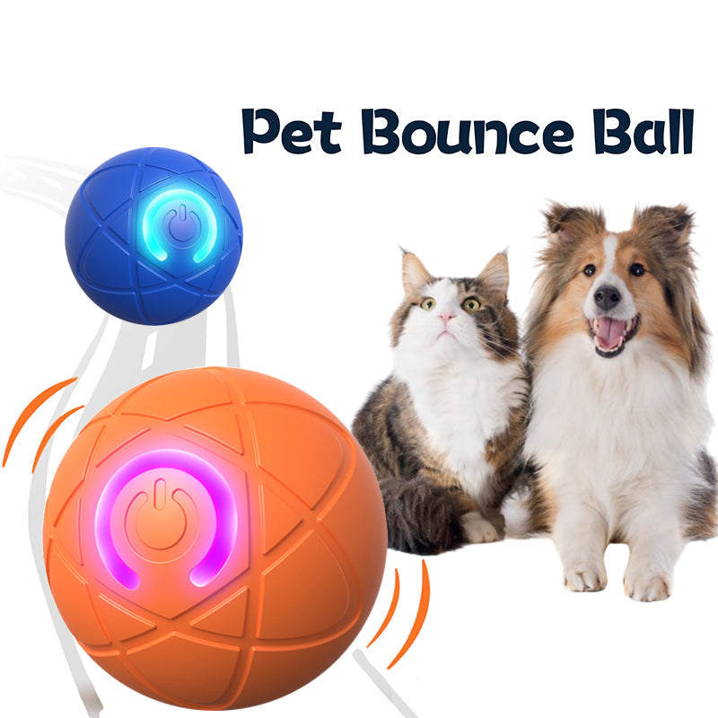 🔥Last Day Promotion 49% OFF🔥TIMNAMY™ Pet Bounce Ball for Cats🐱 & Dogs🐶