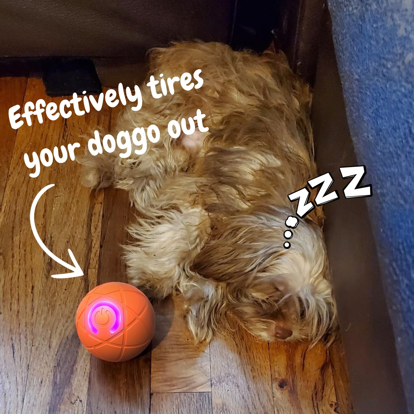 🔥Last Day Promotion 49% OFF🔥TIMNAMY™ Pet Bounce Ball for Cats🐱 & Dogs🐶